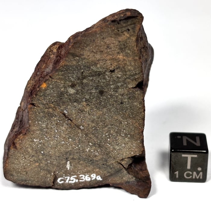 Abbott 85.9 gram meteorite from UNM