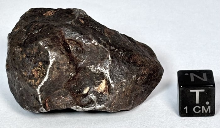 Canyon Diablo 108.5 g