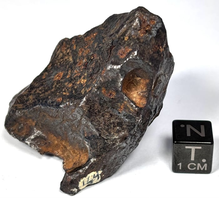 Canyon Diablo Meteorite 164g