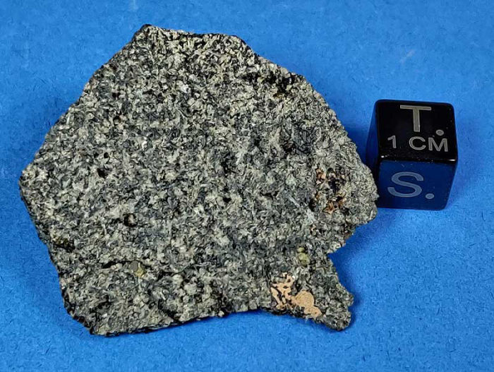 D'Orbigny Angrite Meteorite 8.3g