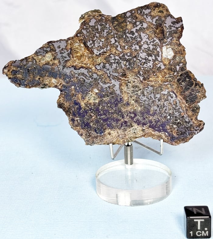 El Eglab Mesosiderite 40.2g