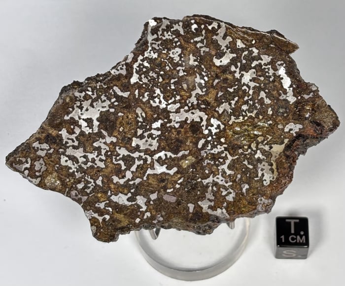 El Eglab Mesosiderite 44.9g