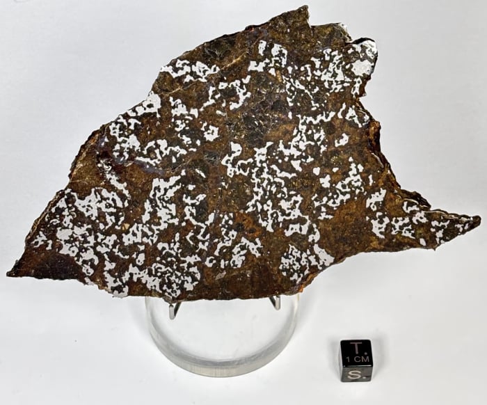El Eglab 82.8g