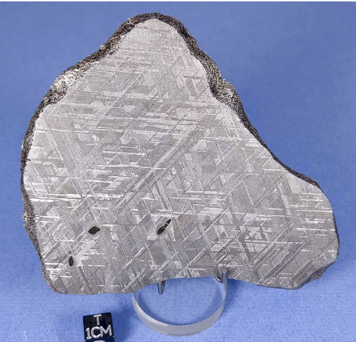 Gibeon Meteorite 175.2g