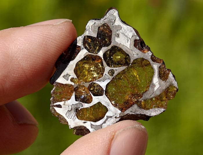 Imilac Pallasite 4.93