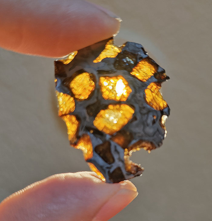 Imilac Pallasite