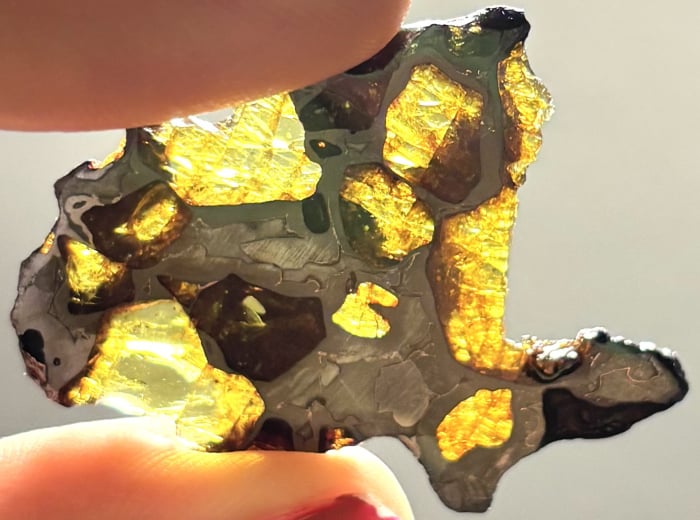 Imilac Pallasite 6.7 gram
