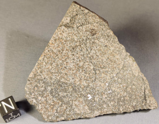Kunashak Meteorite 48.8 grams