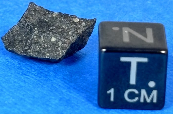 Murchison Meteorite