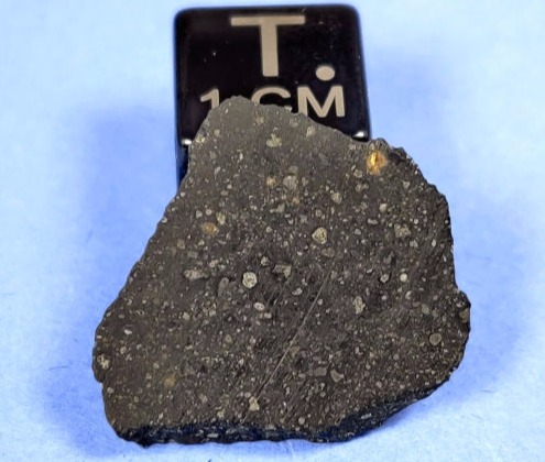 Murchison Meteorite CM2 1.18g