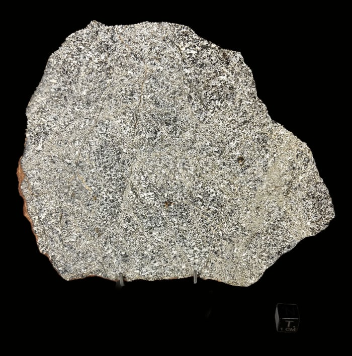 NWA 13682 Eucrite
