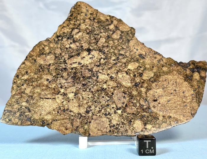 NWA 15953 73.3g