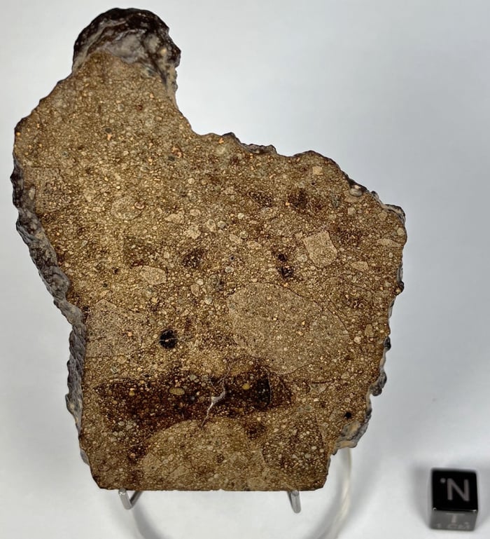 NWA 16803 R5 Chondrite