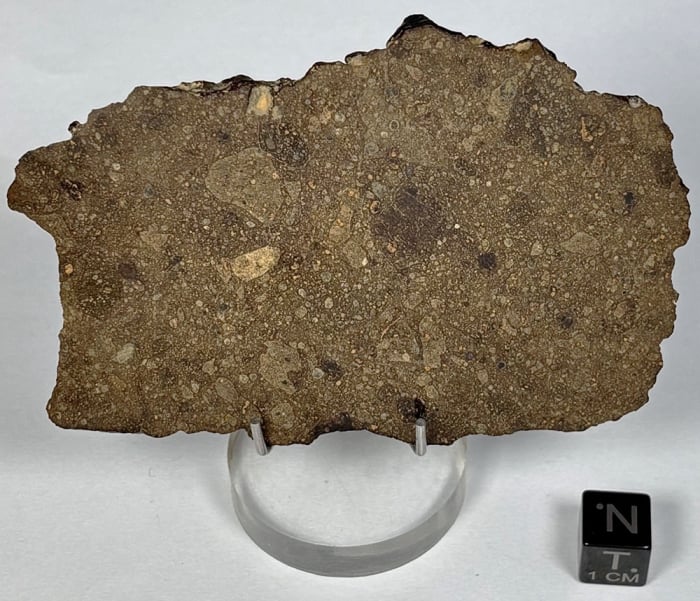 NWA 16803 R-Chondrite 44 g