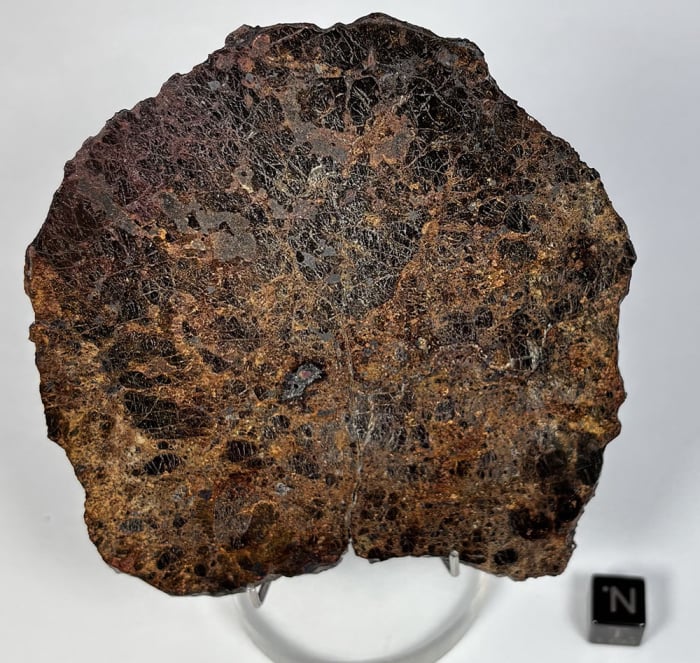NWA 17059 50g