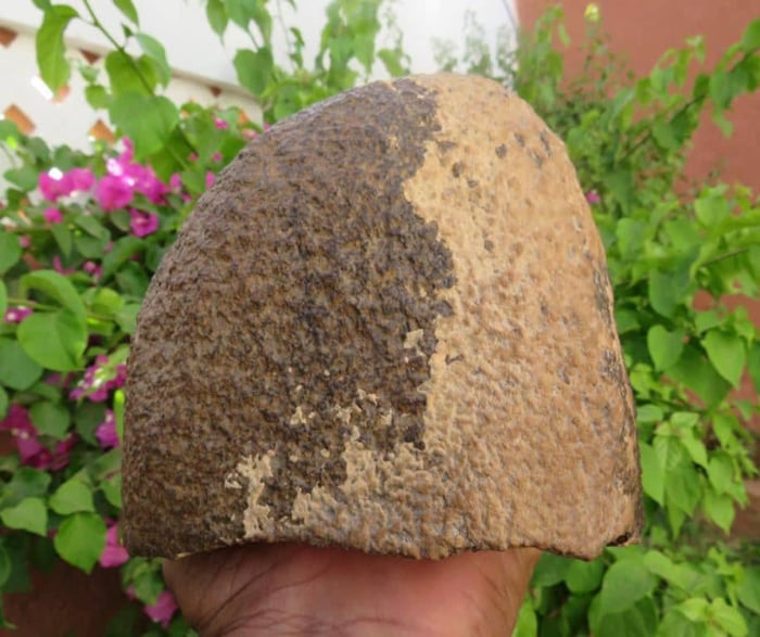 NWA 15491 5kg ureilite