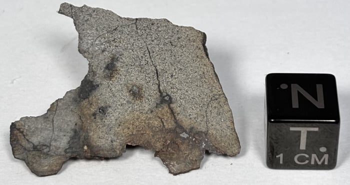 NWA 13446 1.7g