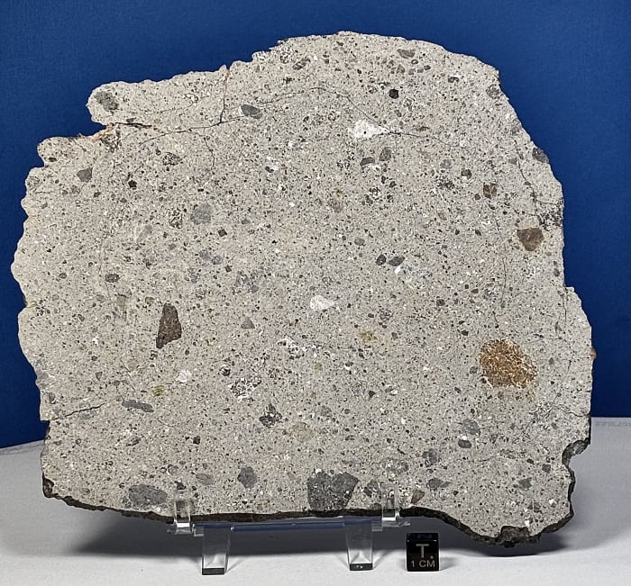 NWA 16087 Howardite Meteorite 208.3g