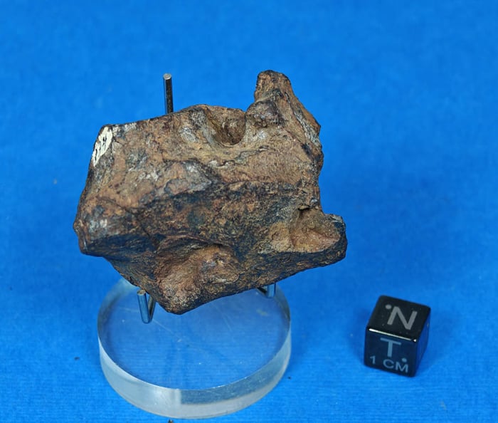 Odessa 134g