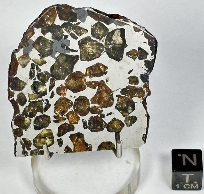 Seymchan 19gram