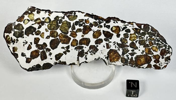 Seymchan pallasite