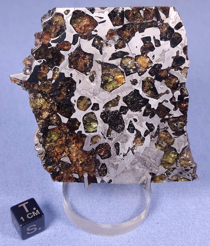 Seymchan 61 gram pallasite
