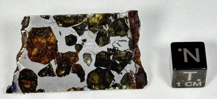 Seymchan Meteorite