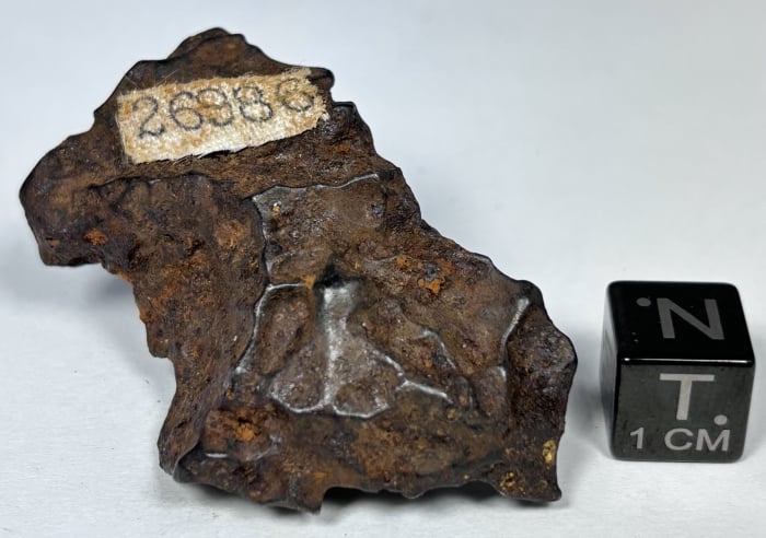 Sikhote-Alin 44.7 gram