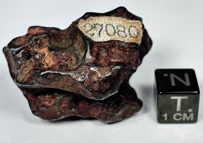 Sikhote-Alin 78.9 gram