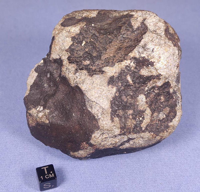 Vinales Meteorite 851g