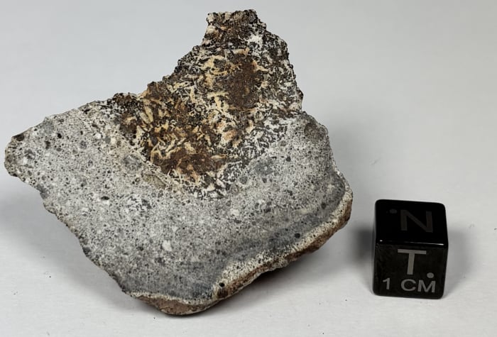 Zagora 008 Eucrite Meteorite 24.4g